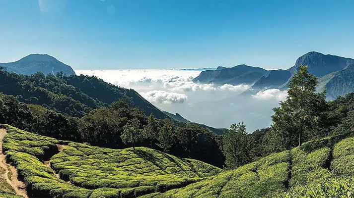 Ooty ytp travels